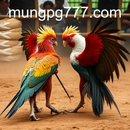 Jogos de Sabong: Um Mergulho Profundo